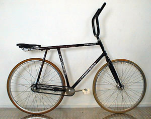 Radballmaschine